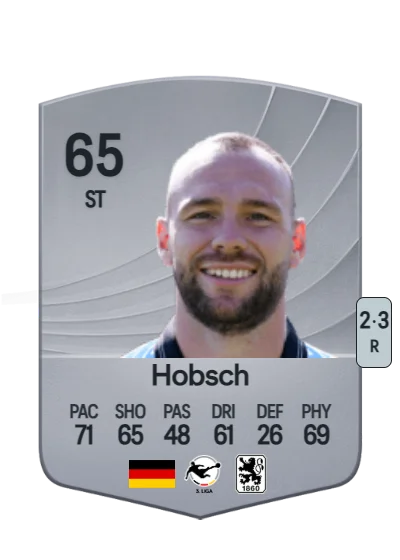 Patrick Hobsch card