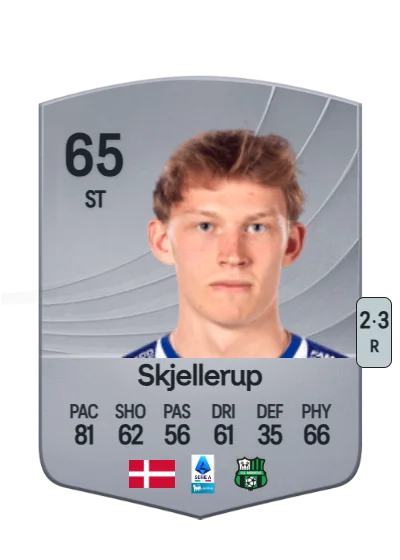 Laurs Skjellerup card