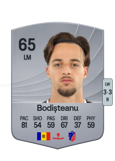 Ștefan Bodișteanu card