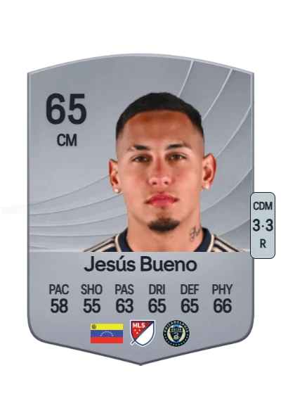 Jesús Daniel Bueno Áñez card
