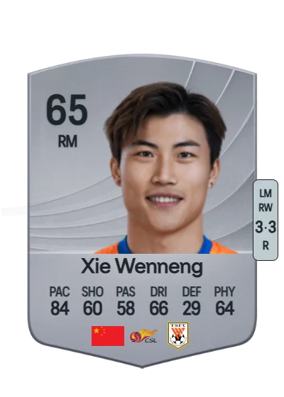 Wenneng Xie card