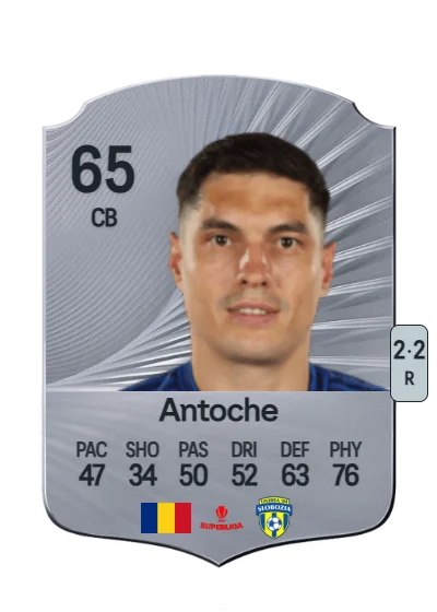 Marius Antoche card
