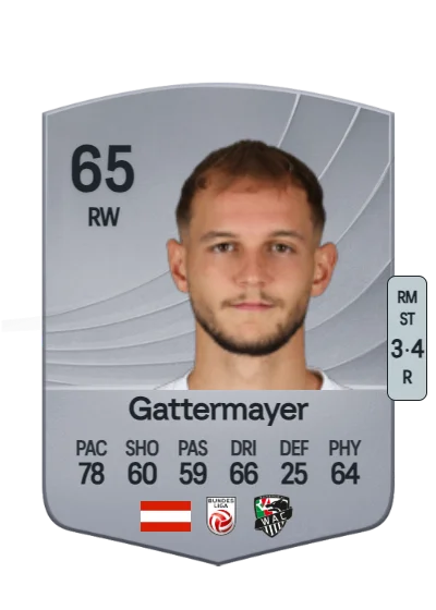 Angelo Gattermayer card