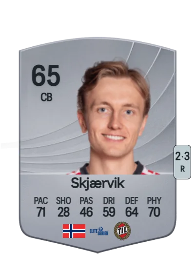Vetle Skjærvik card