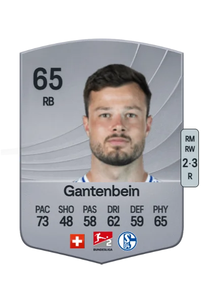 Adrian Gantenbein card