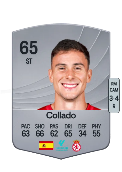 Diego Collado Raya card