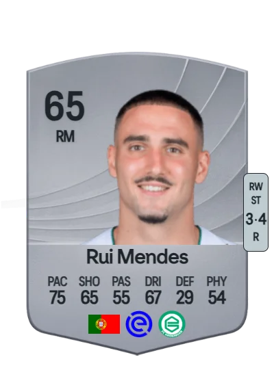 Rui Jorge Monteiro Mendes card