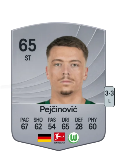 Dženan Pejčinović card