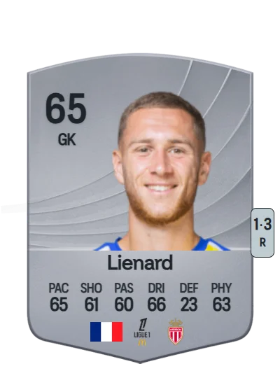 Yann Lienard card