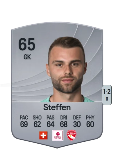 Niklas Steffen card