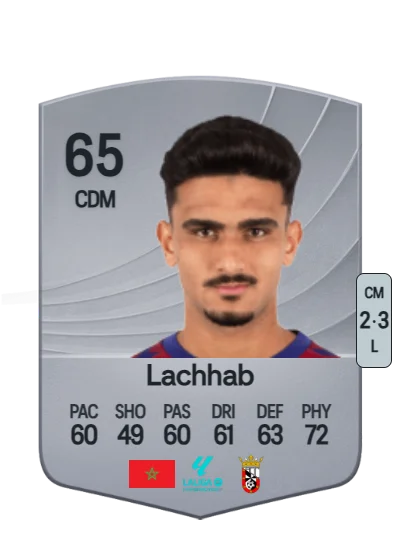 Youness Lachhab card