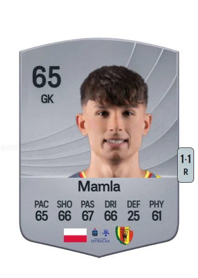 Rafał Mamla card