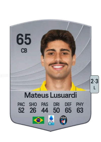 Mateus Henrique Vanelli Lusuardi card