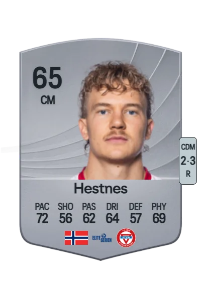 Simen Hestnes card