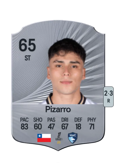 Damián Pizarro card