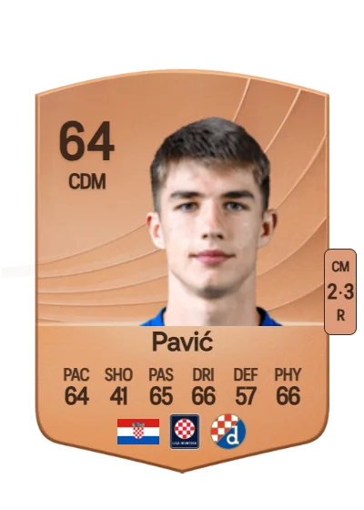 Branko Pavić card