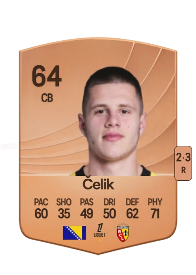 Nidal Čelik card