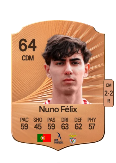 Nuno Miguel M. Fernandes Félix card