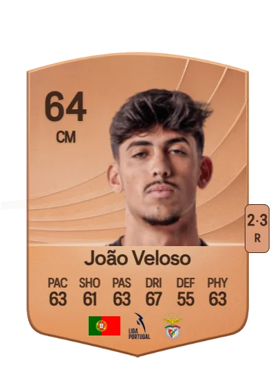 João Miguel Fins Veloso card