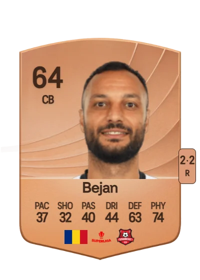 Florin Bejan card