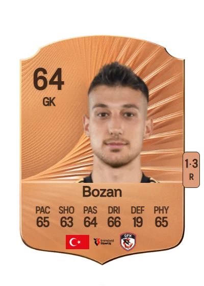 Mustafa Burak Bozan card