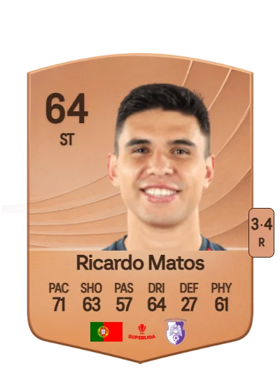Ricardo Manuel Pinho Matos card