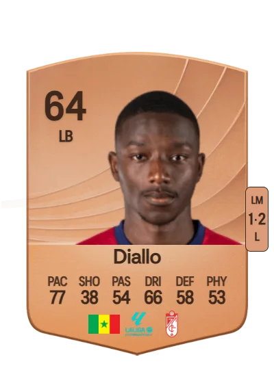 Baïla Diallo card