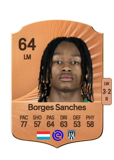 Yvandro Borges Sanches card