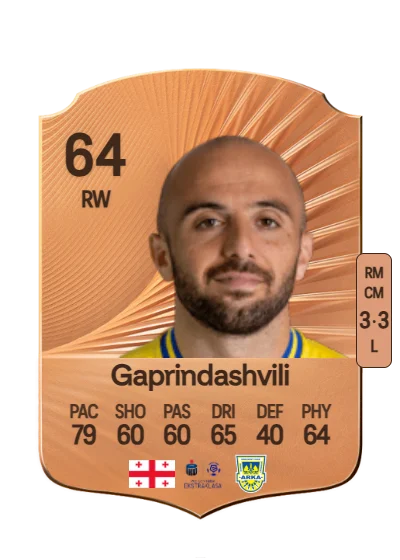 Tornike Gaprindashvili card