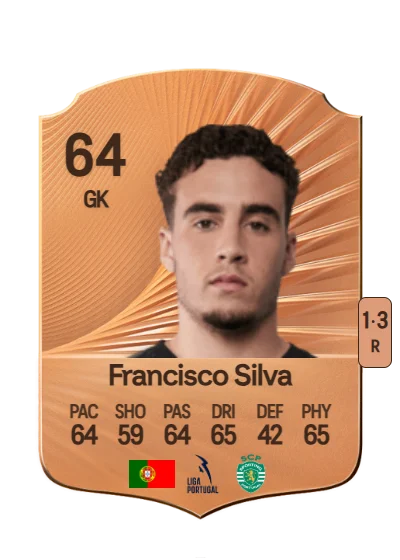 Francisco Diogo Pereira Silva card