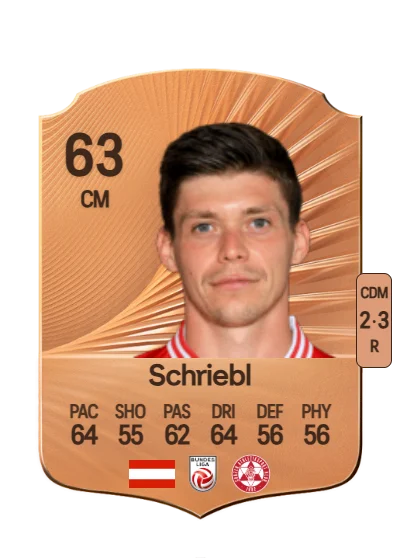 Thorsten Schriebl card