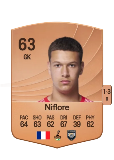 Mathys Niflore card