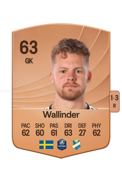 Robin Wallinder card