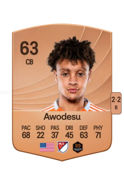 Femi Awodesu card