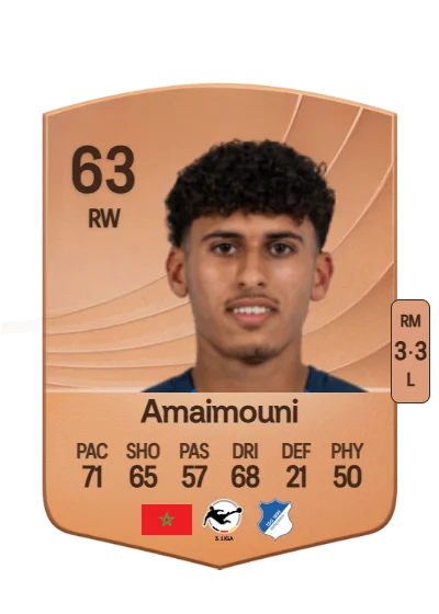 Ayoube Amaimouni card