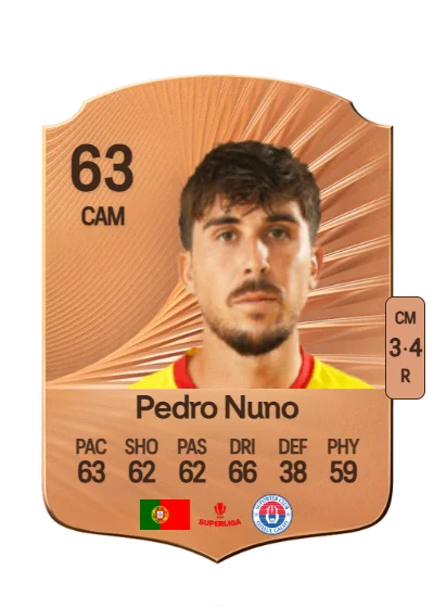 Pedro Nuno Fernandes Ferreira card