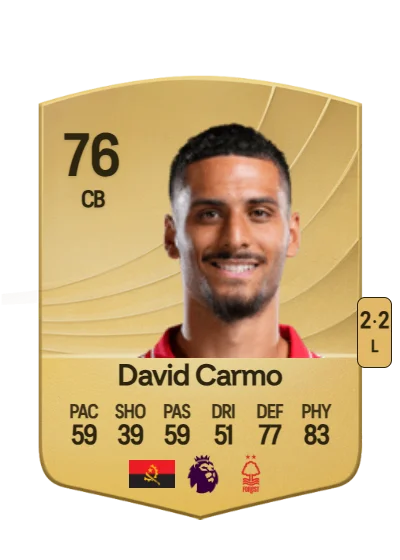 David Mota Teixeira Carmo card
