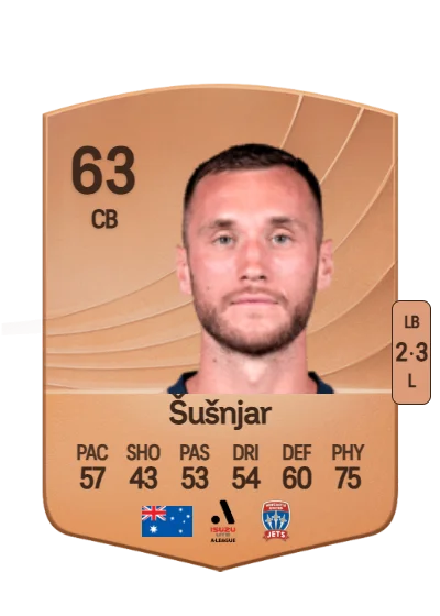 Aleksandar Šušnjar card