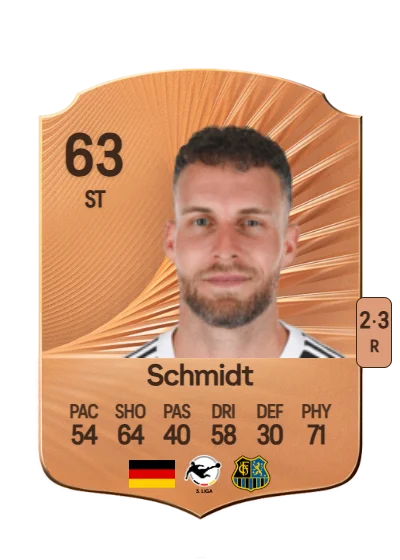 Patrick Schmidt card