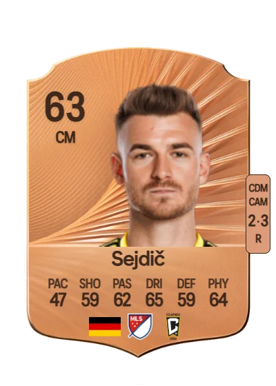 Amar Sejdič card