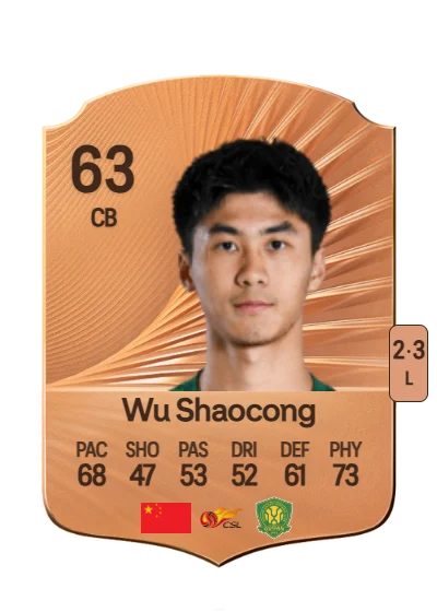 Shaocong Wu card