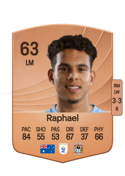 Raphael Borges Rodrigues card