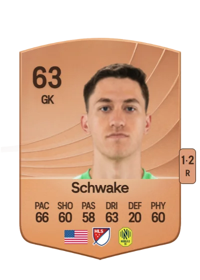 Brian Schwake card