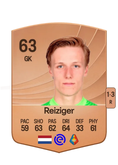 Daan Reiziger card