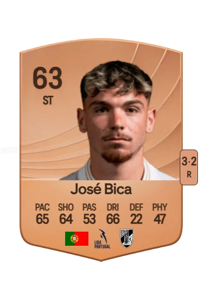 José Manuel Bica Reis card