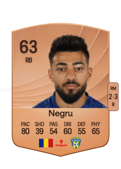 Radu Negru card