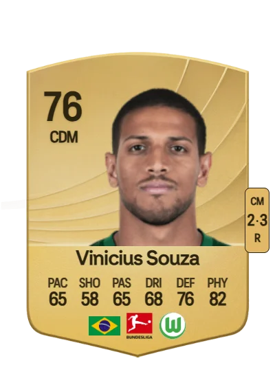 Vinicius de Souza Costa card