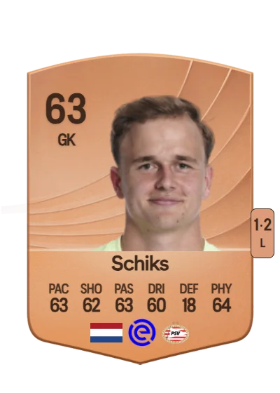 Niek Schiks card