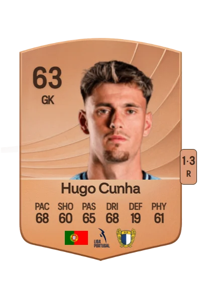 Hugo Alberto Pires Cunha card