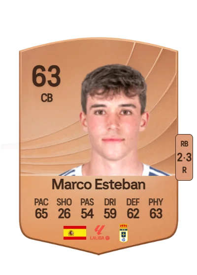 Marco Esteban Fernández card